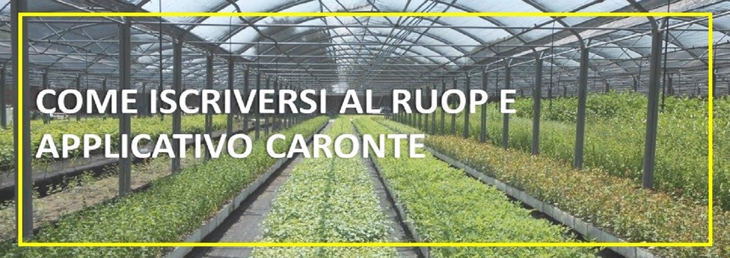 Come iscriversi al RUOP e applicativo Caronte