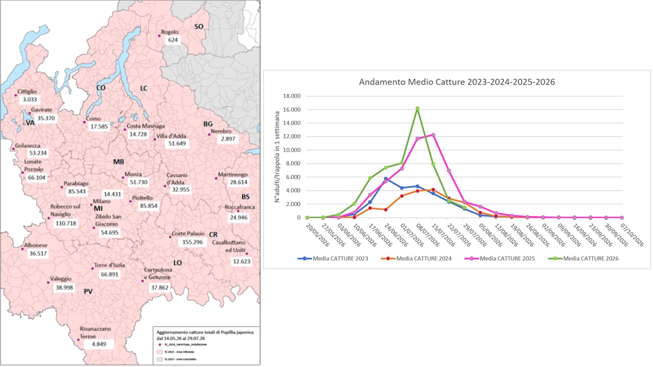 Captures of Popillia japonica in Lombardy Region (years 2024-2025-2026) and distribution map