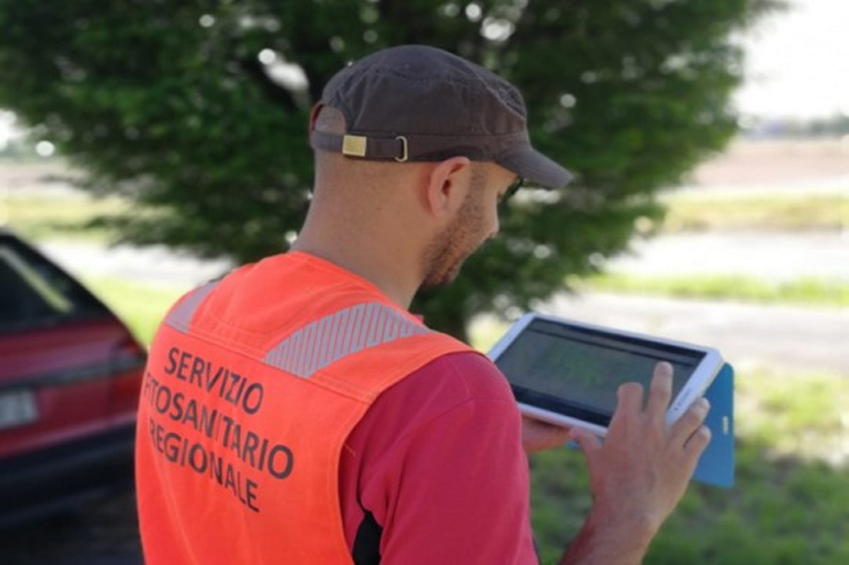 Attività di sorveglianza (Foto di: Servizio Fitosanitario della Regione Lombardia)