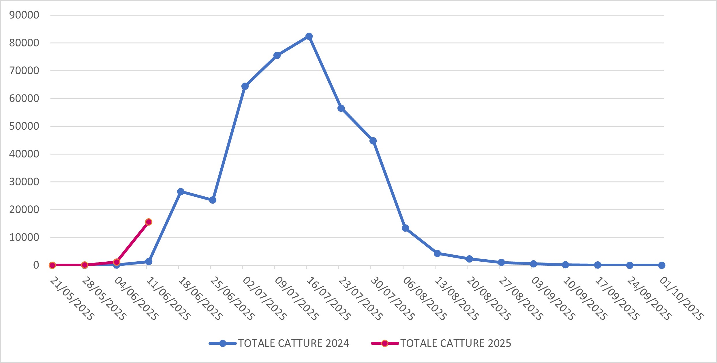 Catture di Popillia japonica sul territorio della regione Lombardia (confronto 2024-2025)