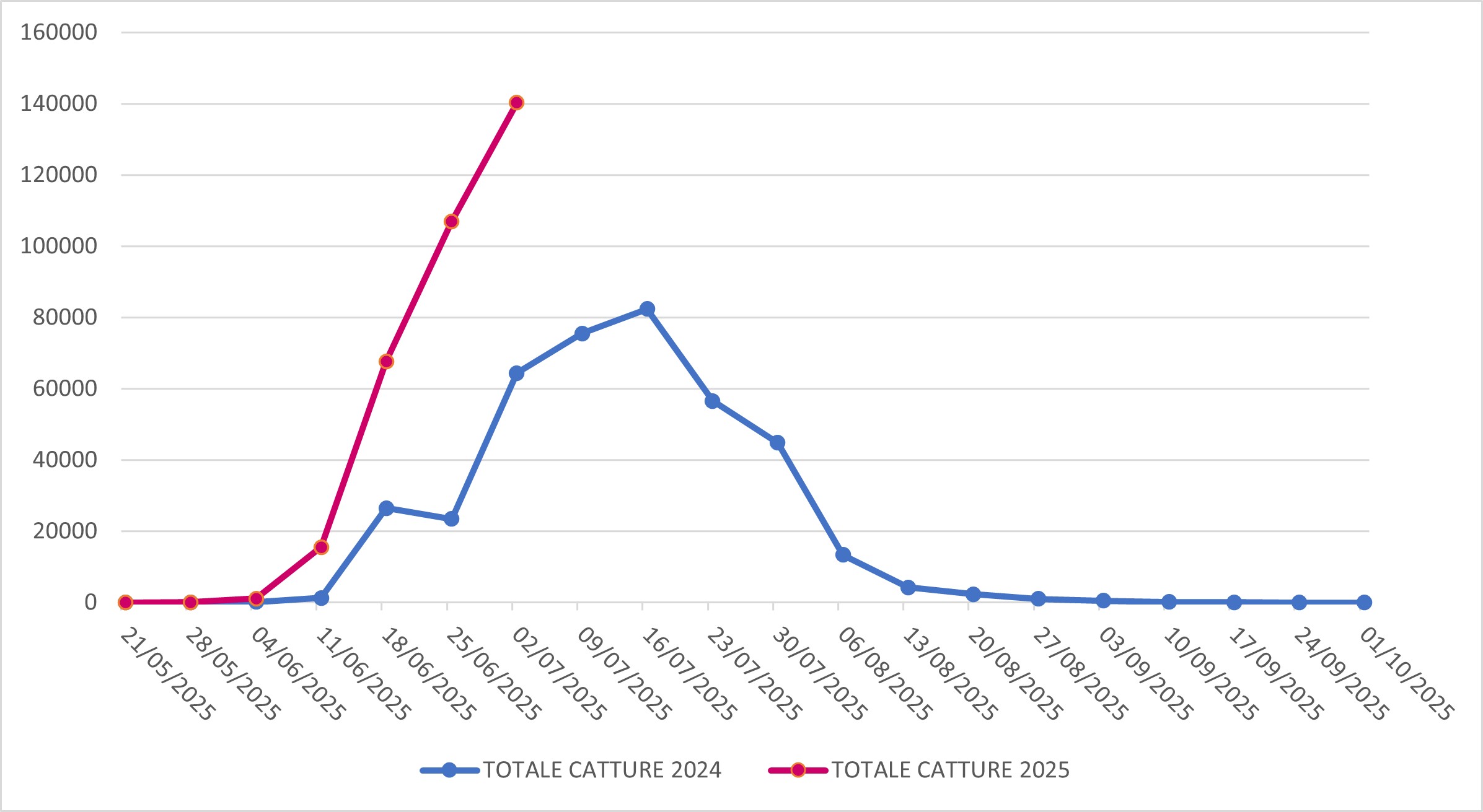 Catture di Popillia japonica sul territorio della regione Lombardia (confronto 2024-2025)