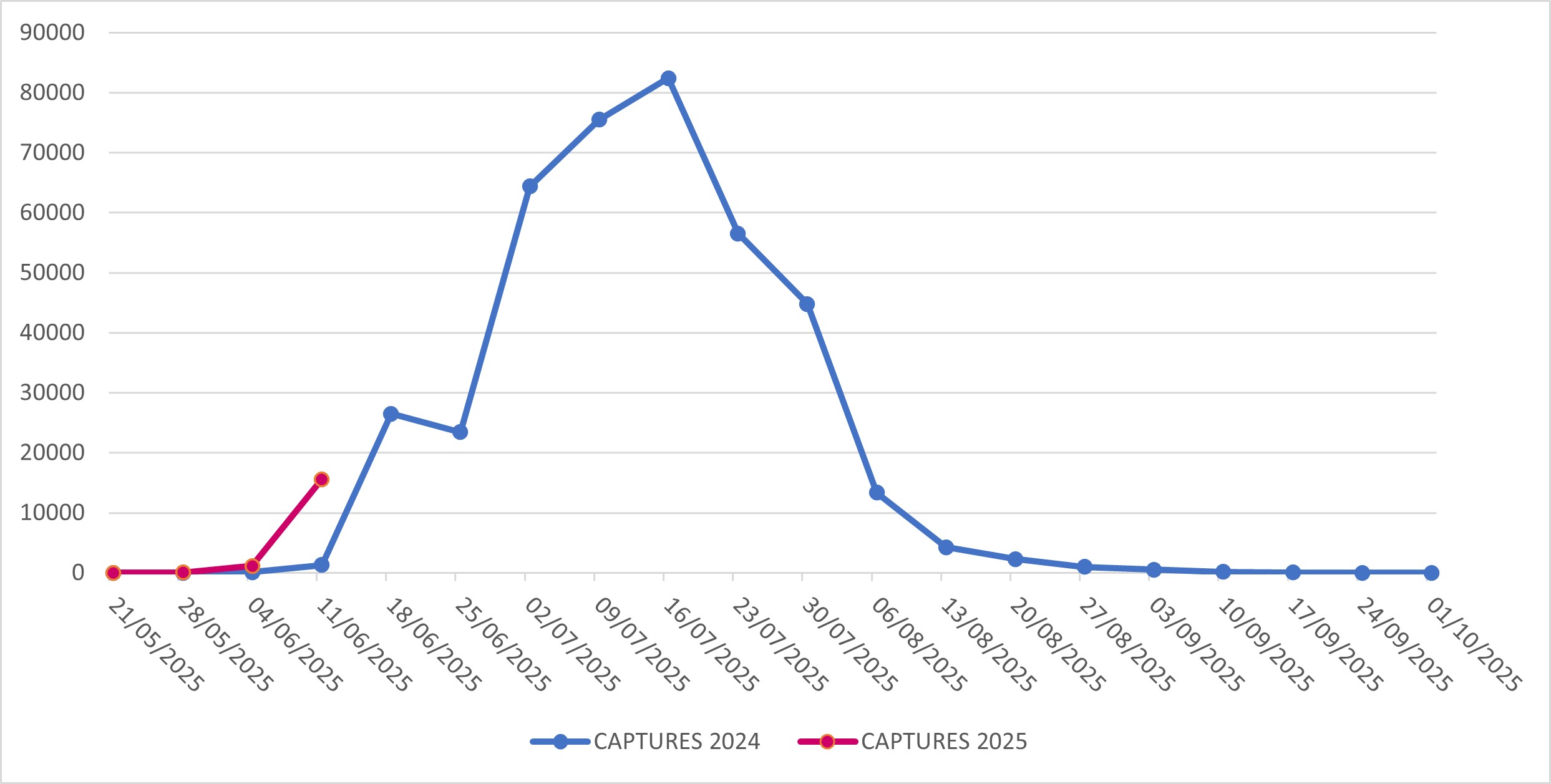Captures of Popillia japonica in Lombardy Region (years 2024-2025)