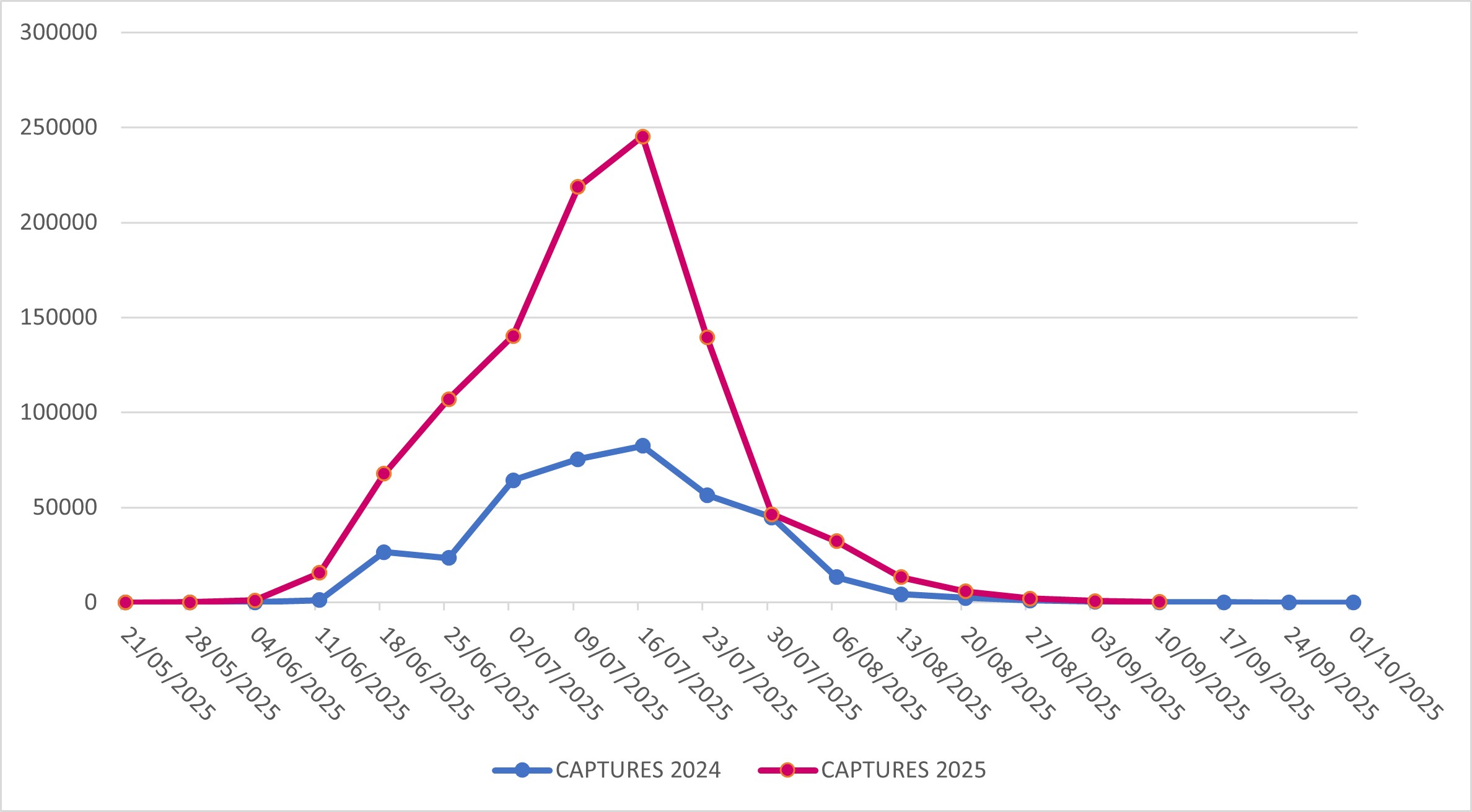 Captures of Popillia japonica in Lombardy Region (years 2024-2025)