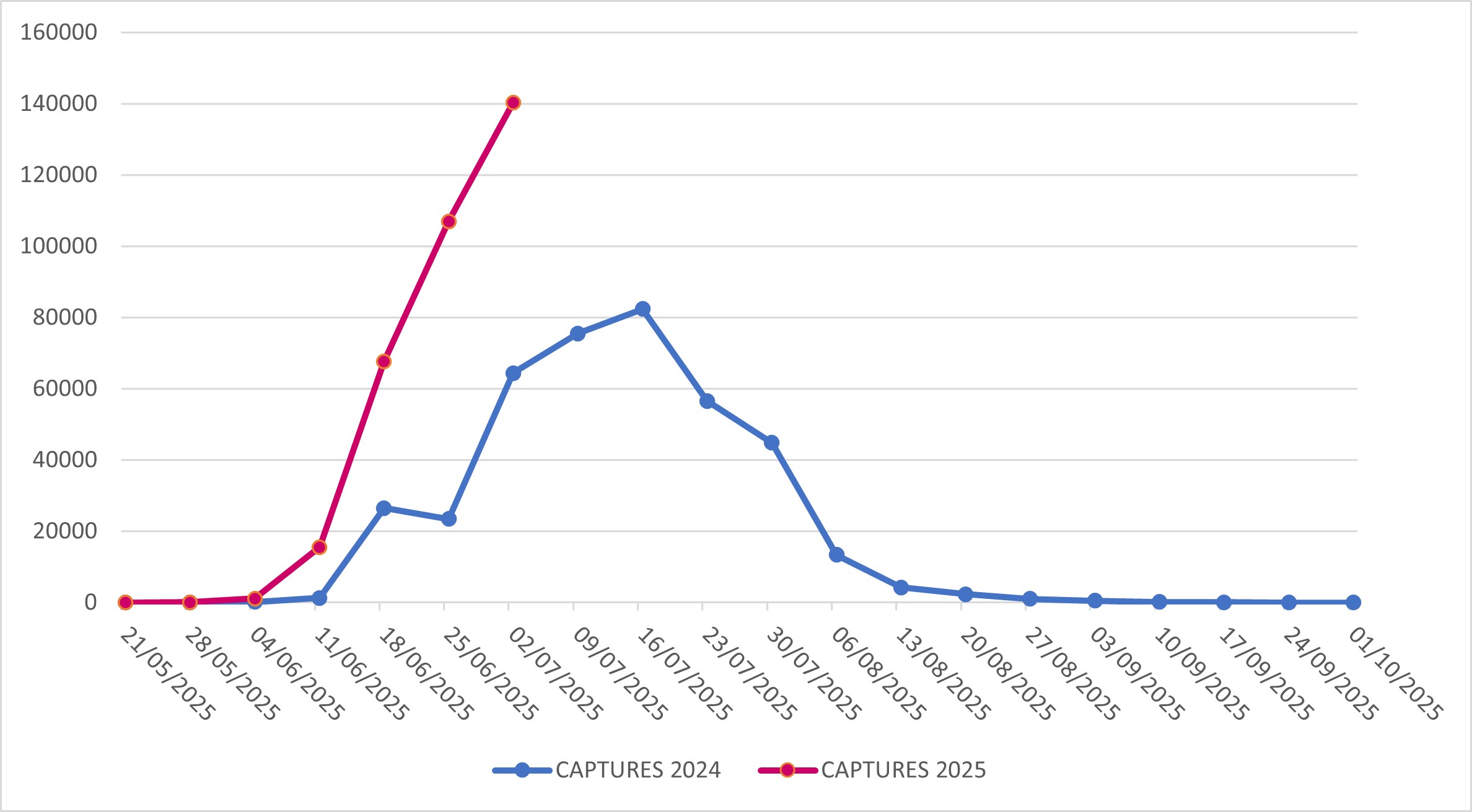 Captures of Popillia japonica in Lombardy Region (years 2024-2025)