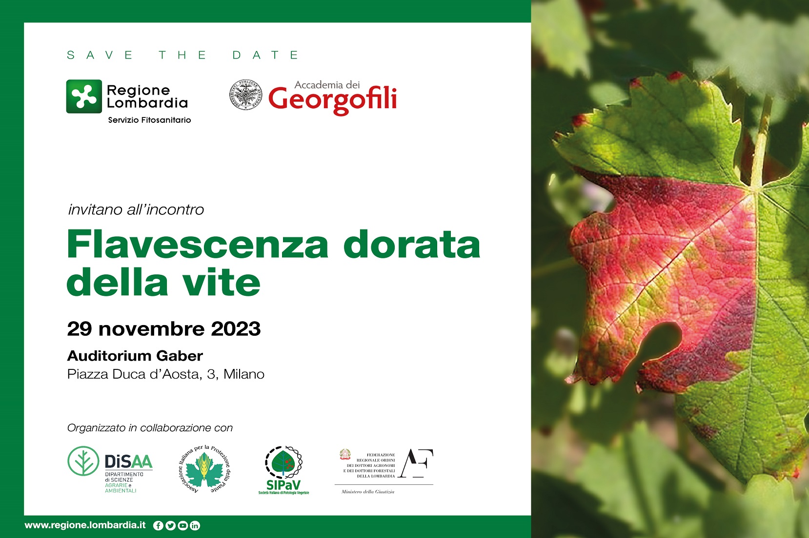 Incontro su FD novembre 2023