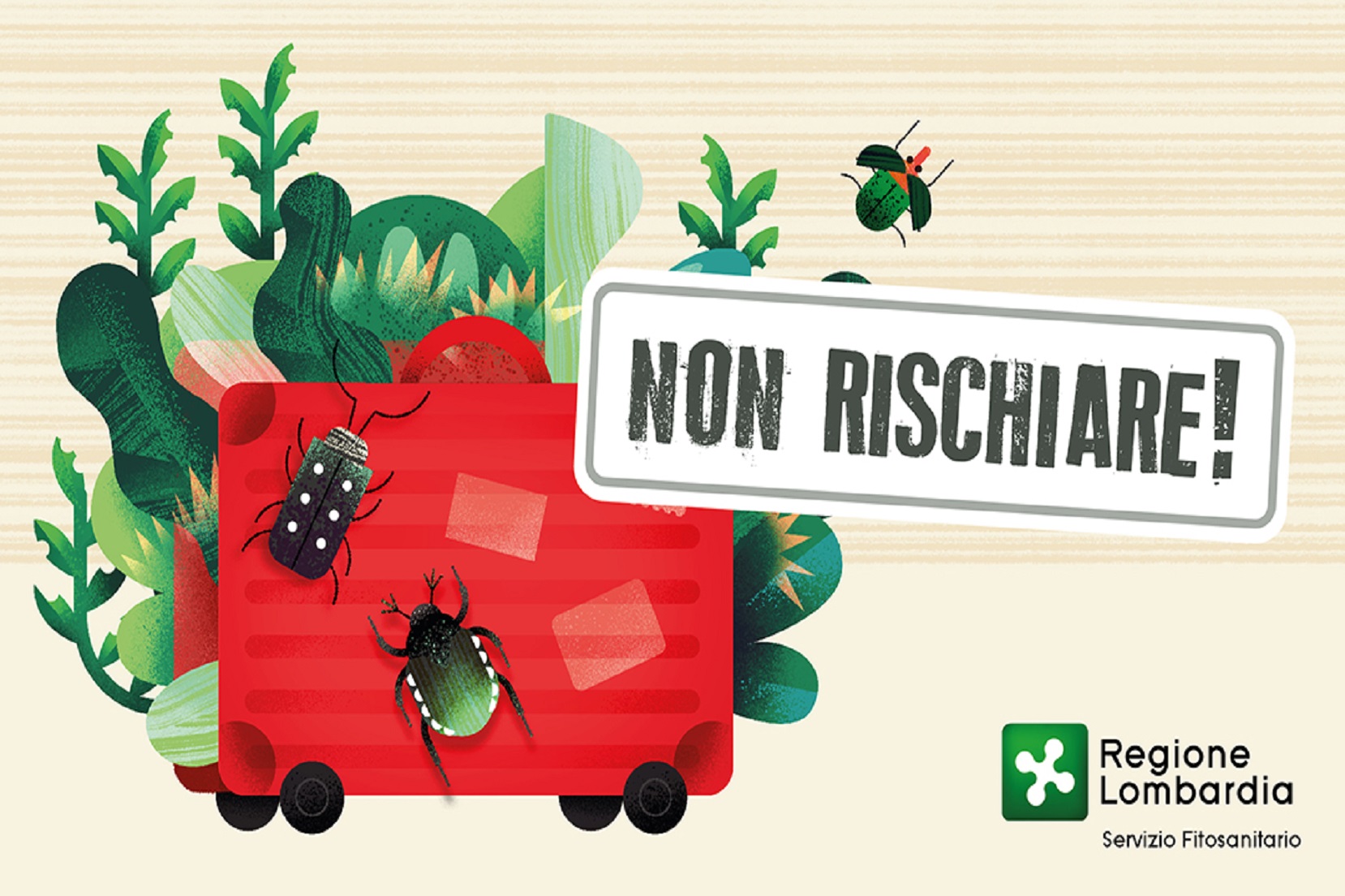Nuova campagna di comunicazione