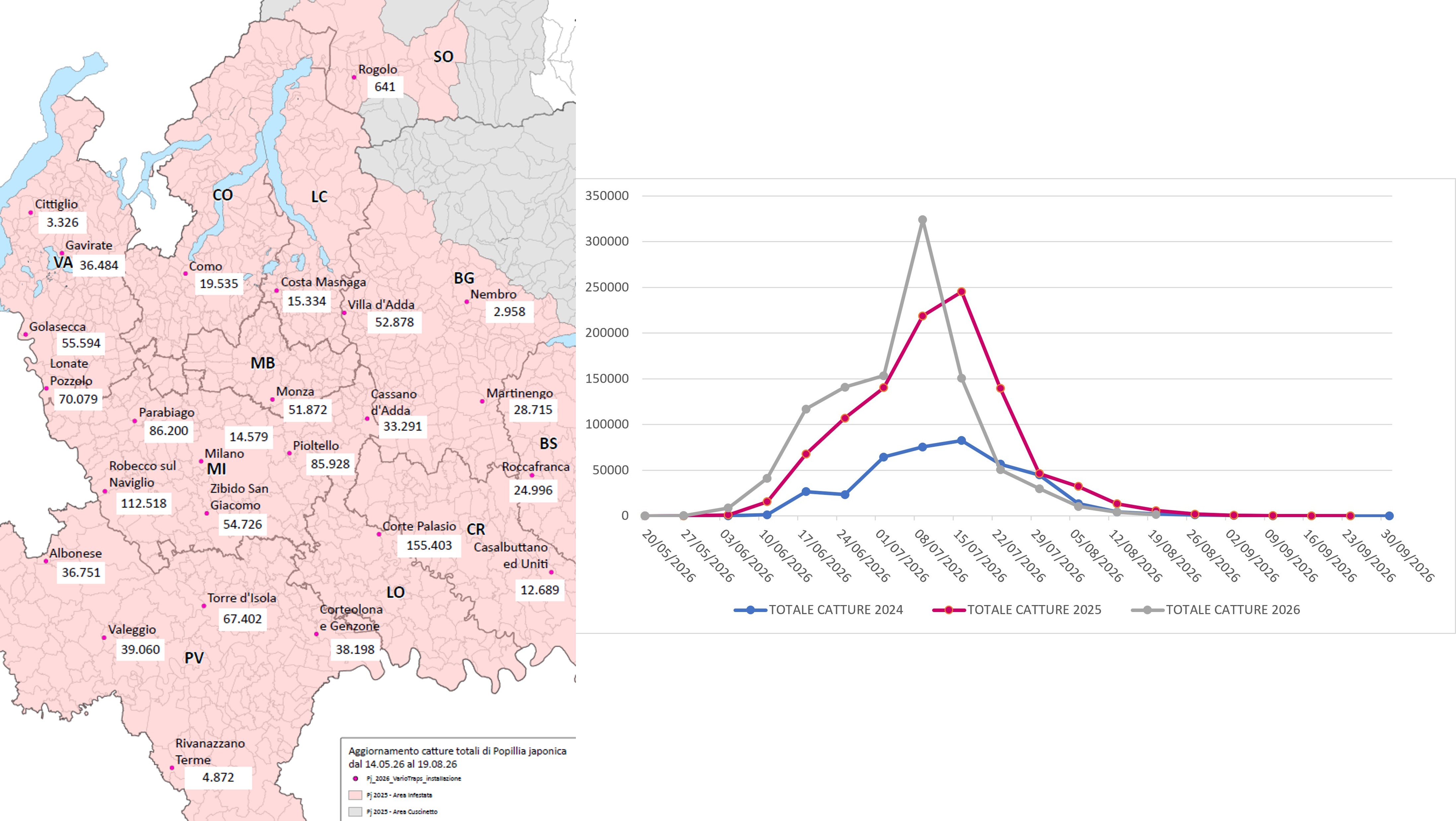 Catture di Popillia japonica sul territorio della regione Lombardia (confronto 2024-2025-2026) e relativa mappa di distribuzione