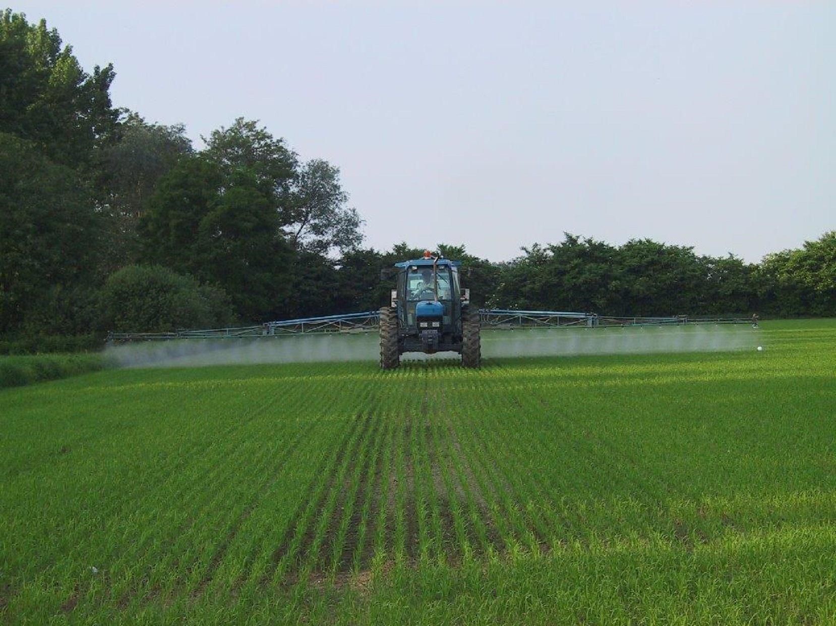 Norme tecniche di difesa e diserbo e autorizzazioni usi eccezionali