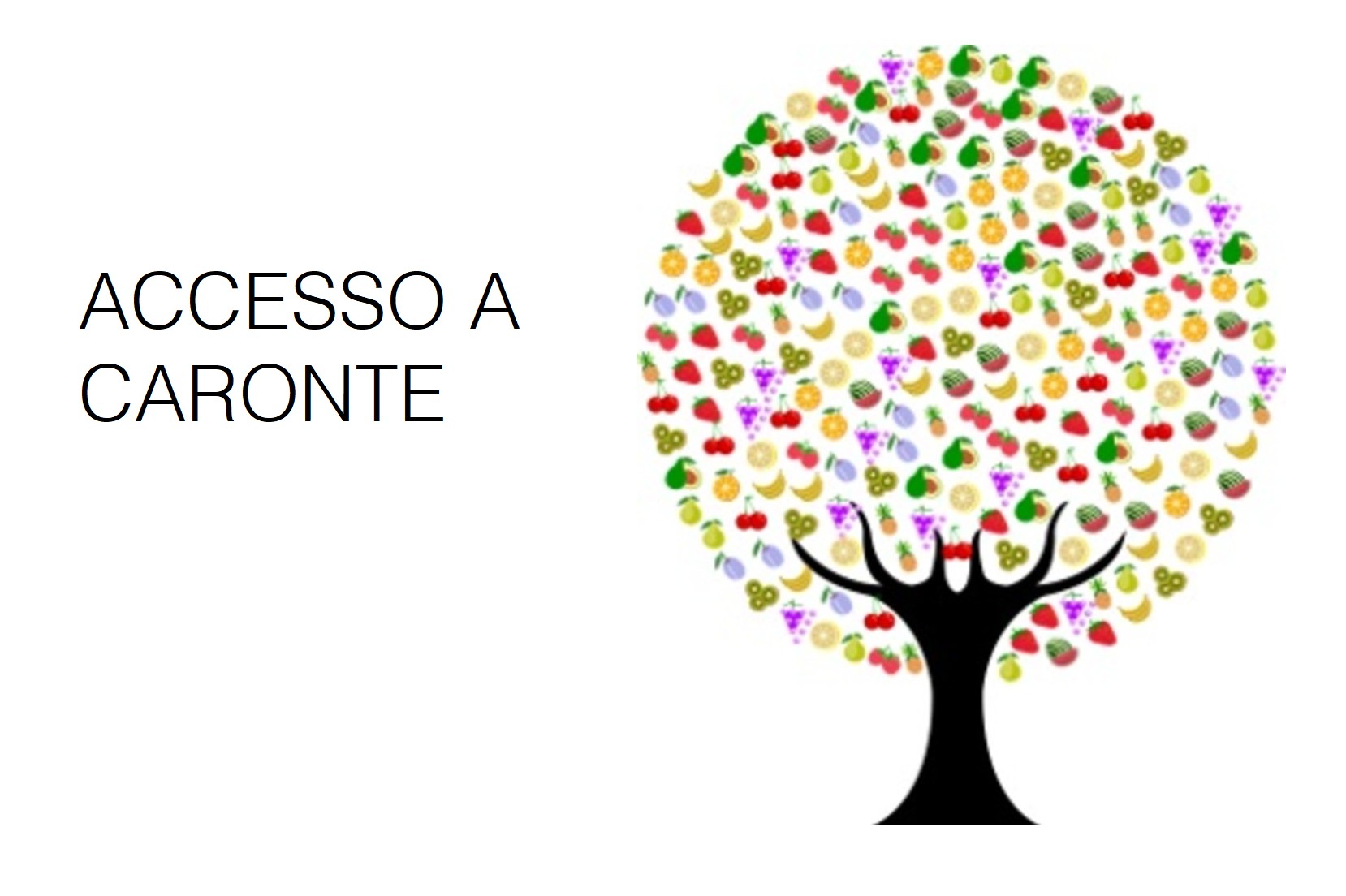 accesso a caronte