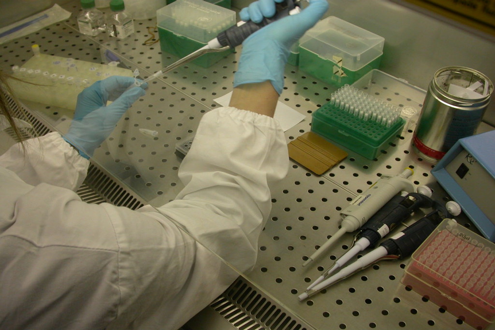 Nuovo Laboratorio
